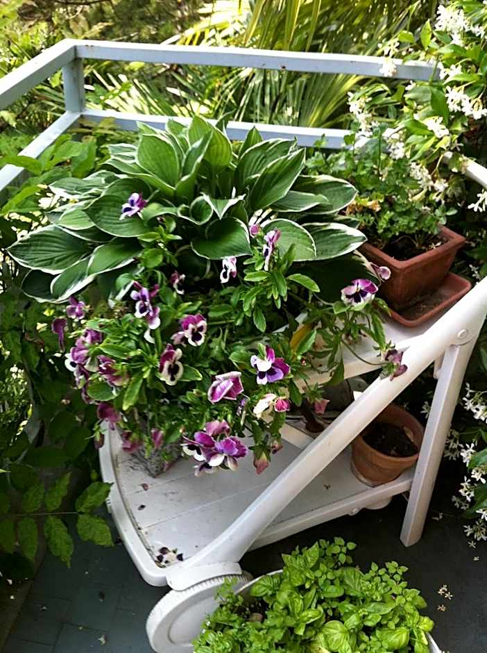 B&B Le Ortensie -Lago di Como