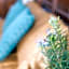 Boutique house LujoPobre