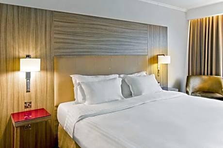 Superior Room with Runway View