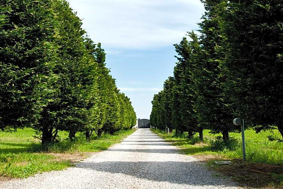Il Giardino Di Rebecca
