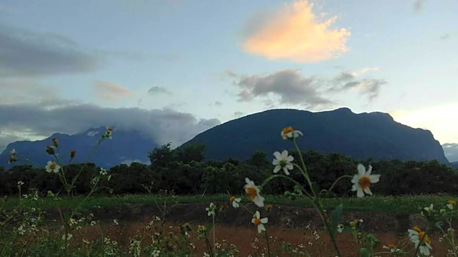 Ban Thung Talay Mok Chiangdao