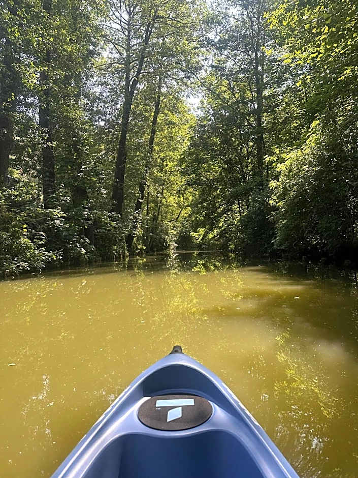 Domki nad Szelągiem
