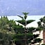 Almena Hotel