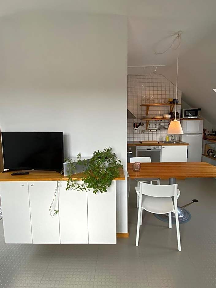 Sköna Hönor Apartments