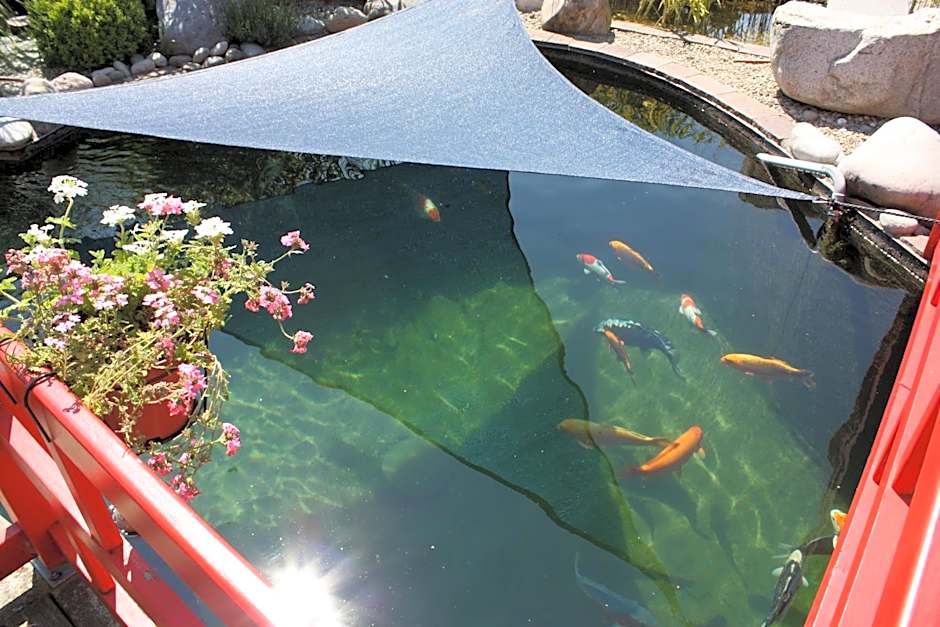 Hotel Koi-Gartenteich