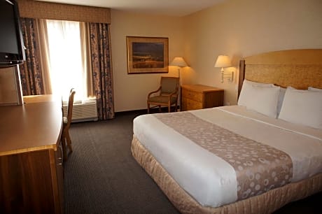 1 King Bed Deluxe Room Non-Smoking