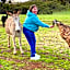 Sandalwood Downs Fabulous Farm Stay TOODYAY