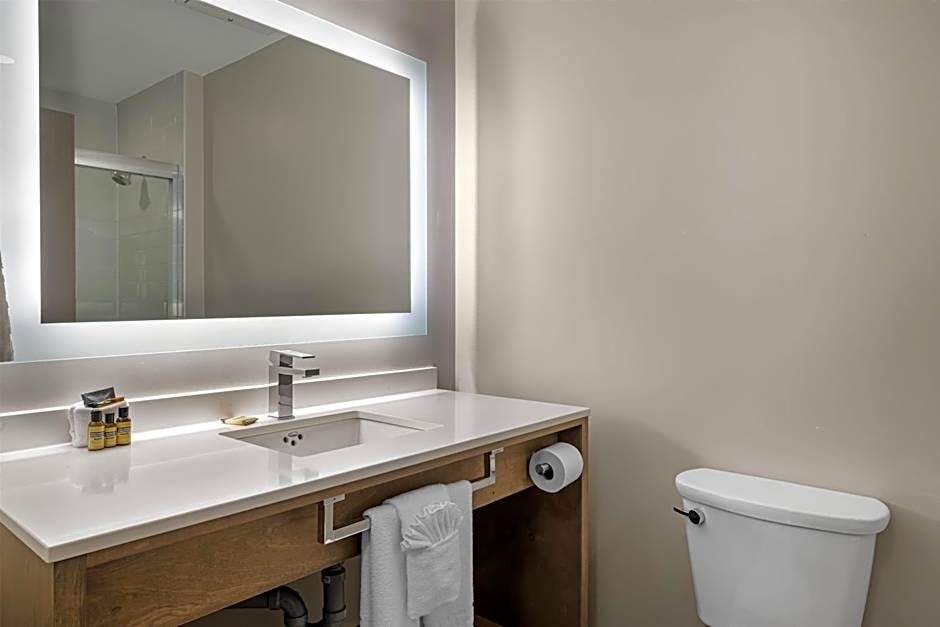 Best Western Plus Dartmouth Hotel & Suites