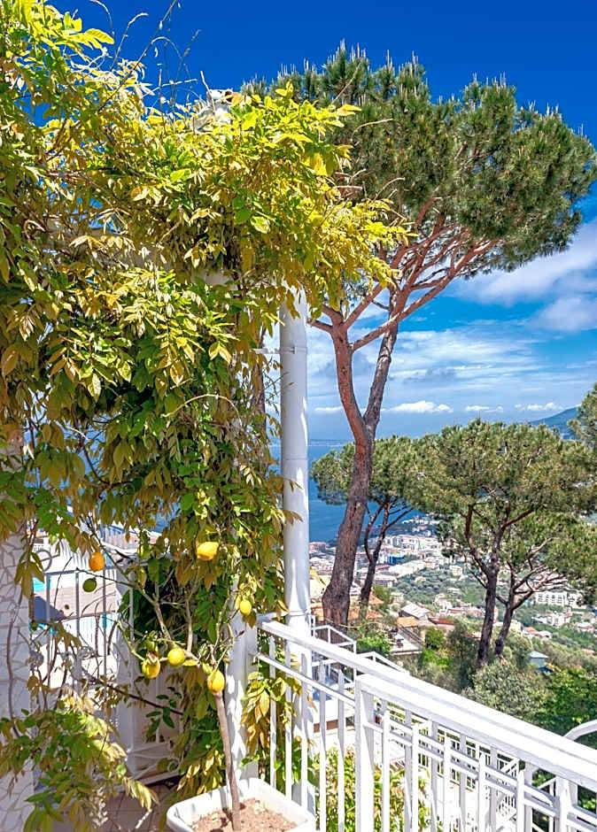 Residence Le Terrazze