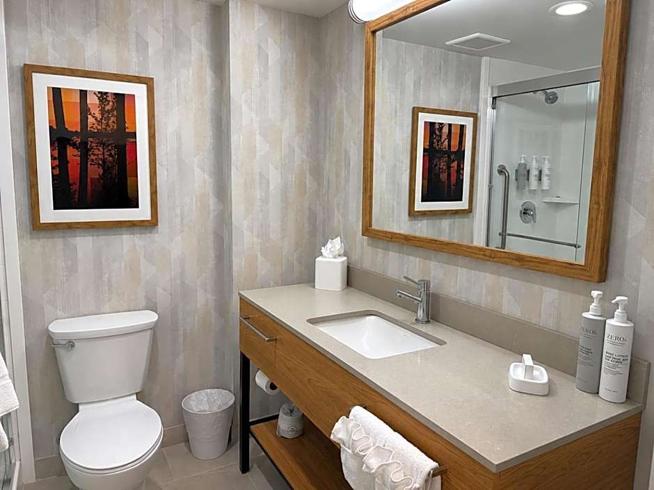 Hampton Inn Cartersville