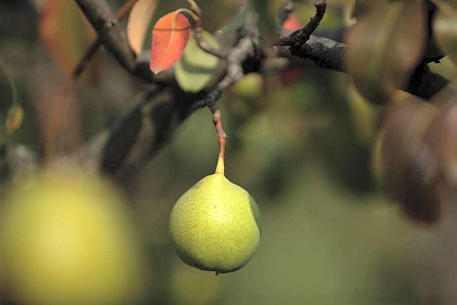 Ostello del Monastero