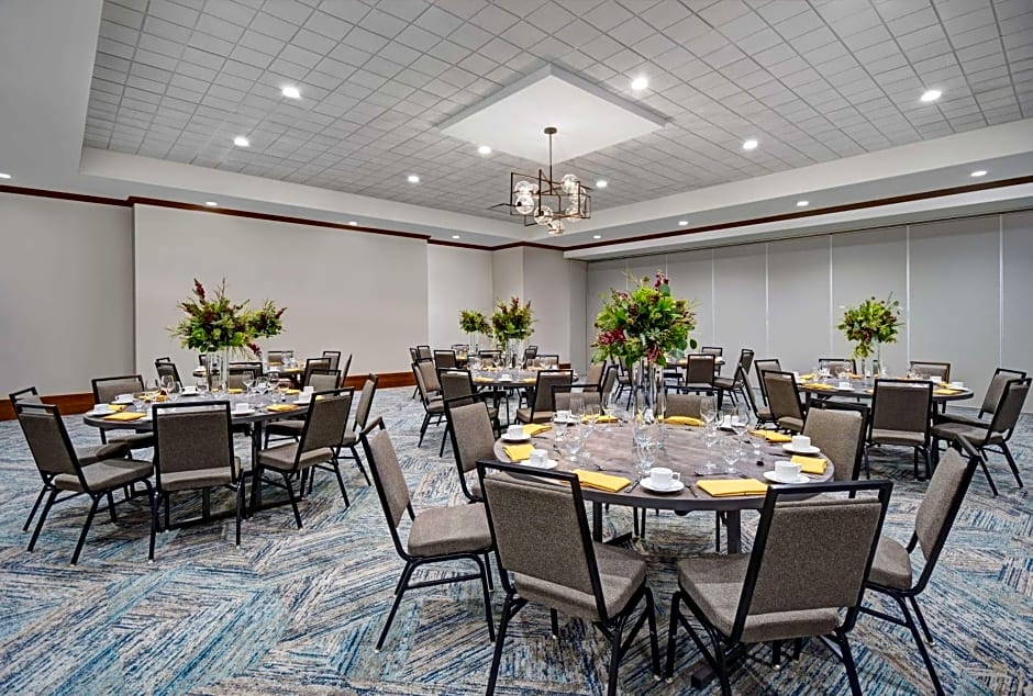 Hilton Garden Inn Houston Medical Center, TX