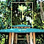 Yvy Hotel de Selva