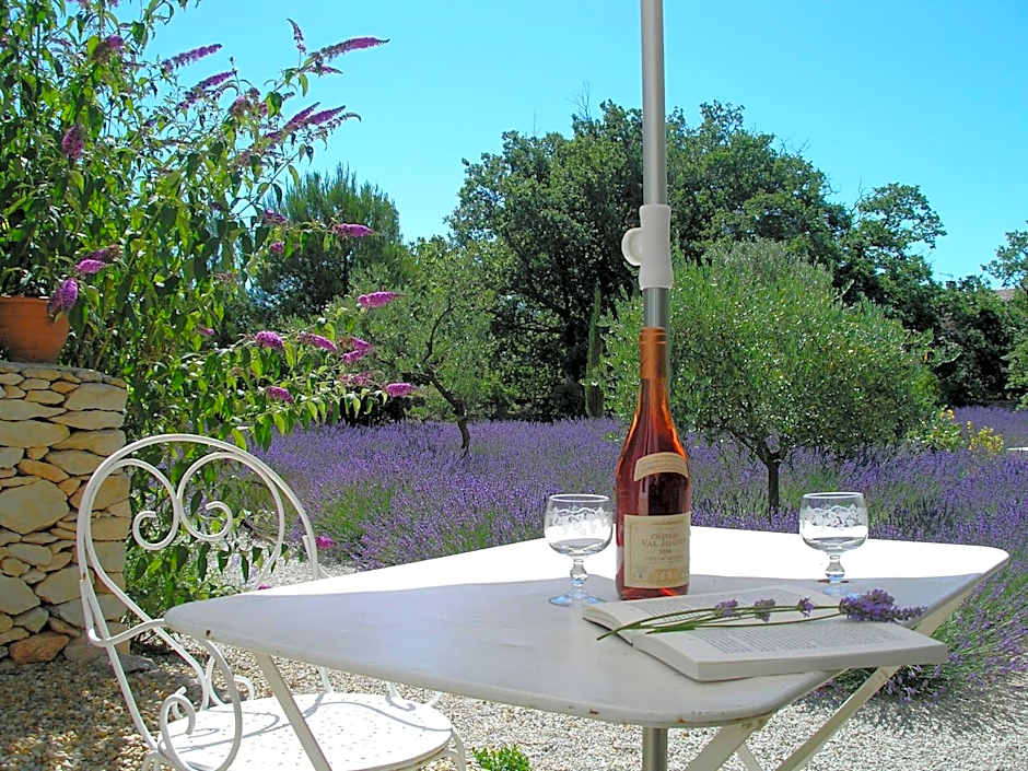 Clos des Lavandes - Chambres et Suites de charme climatisées-Luberon