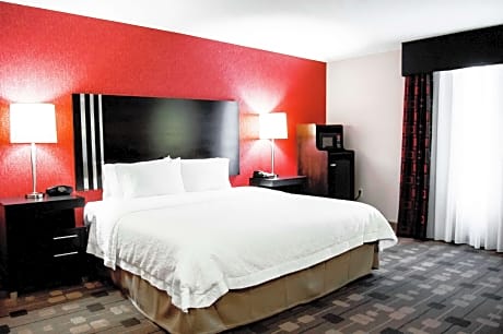 1 King Studio Suite W/ Sofabed Nonsmoking