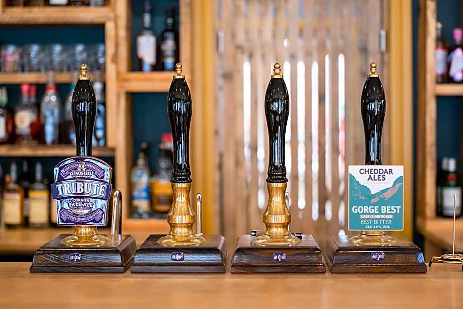 The Sheep and Penguin