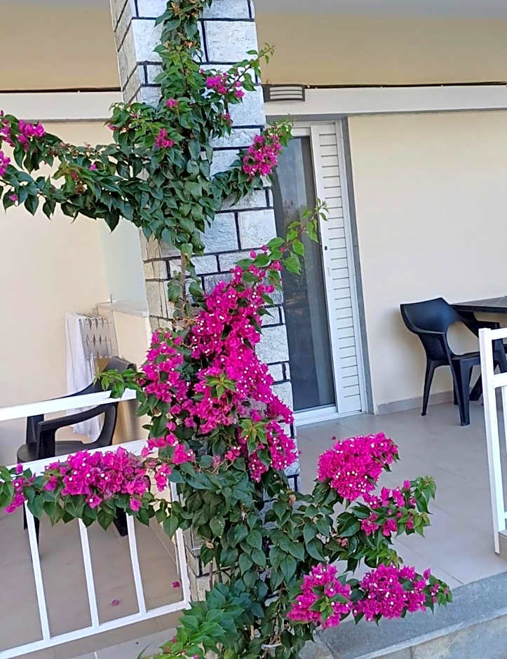 Bella Terra Nature Living