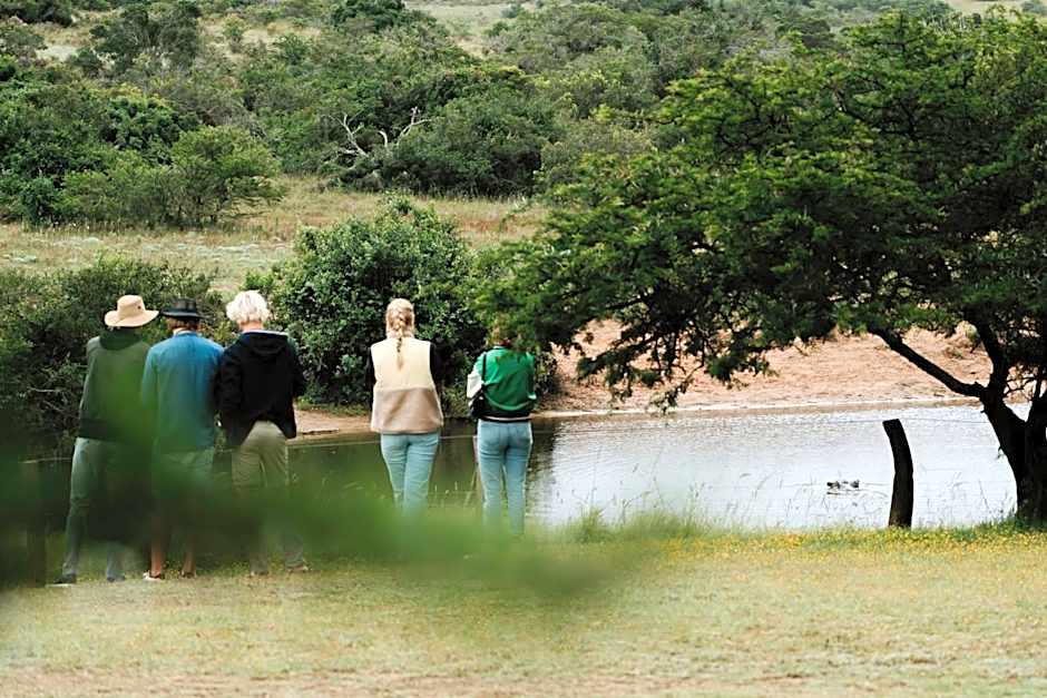 Hlosi Game Lodge - Amakhala Game Reserve