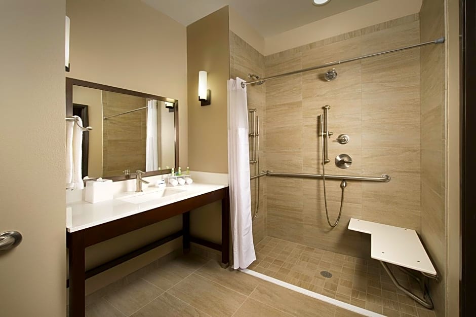 Holiday Inn Express Hotel & Suites Waco South