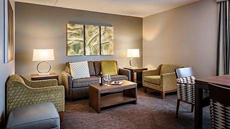 One-Bedroom Suite with City View