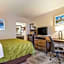 Quality Inn Suwanee I-85