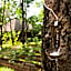 Six Senses Yao Noi