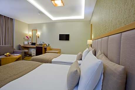 Executive Double Room