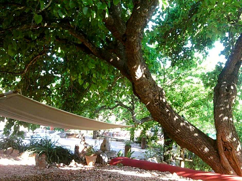 Casa Amoreira - Quinta Amoreira