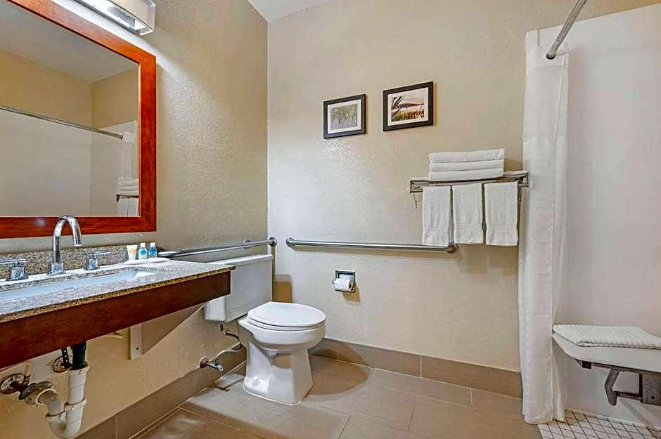 Comfort Inn Fremont