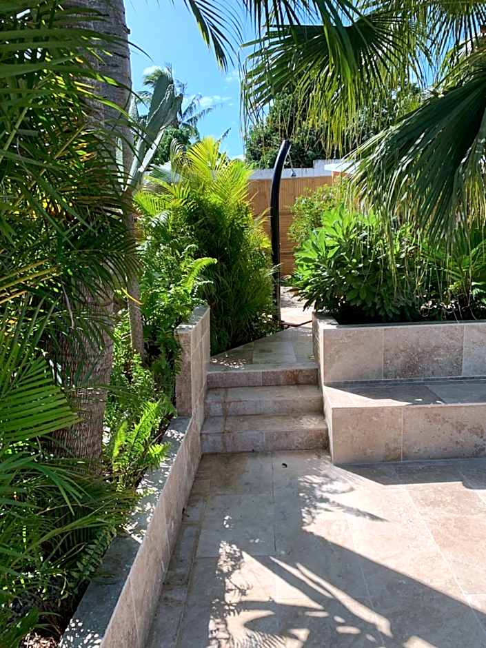 Lotus Garden - Île de la Réunion