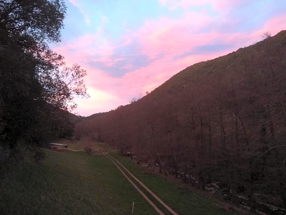 Chambre Cévennes: Piscine, lamas, rivière