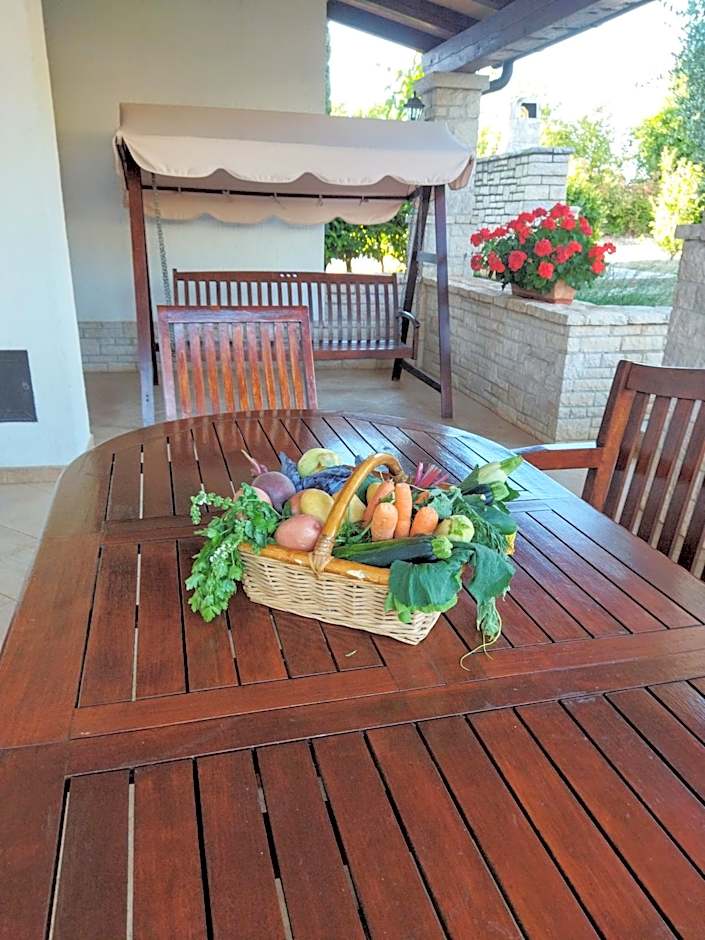 Apartments Ivan & Tina