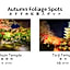 Hotel Mondonce Kyoto Gojo
