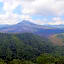 TEGAL SARI, Pemuteran- North Bali