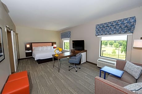 1 King Microwv/Fridge/Wet Bar Studio Suite Ns