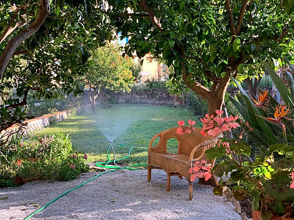 Il giardino dei limoni