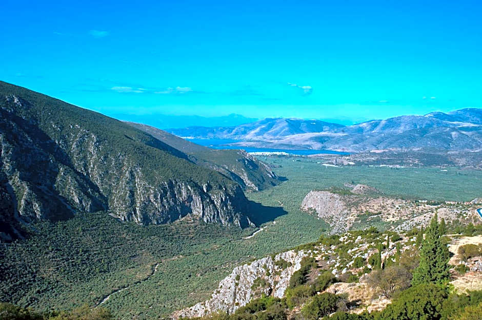 Acropole Delphi City Hotel