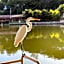 Guararema Parque Hotel