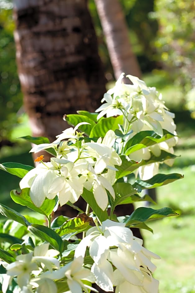 Pousada Imperio do Sol