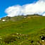 Hotel Edelweiss