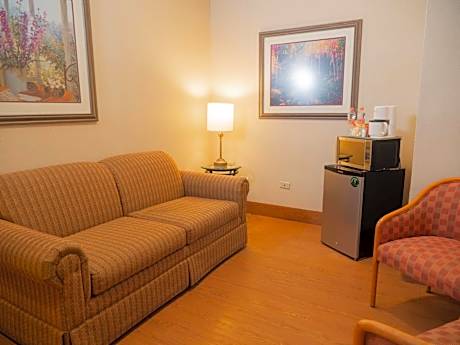 1 King Suite Living
