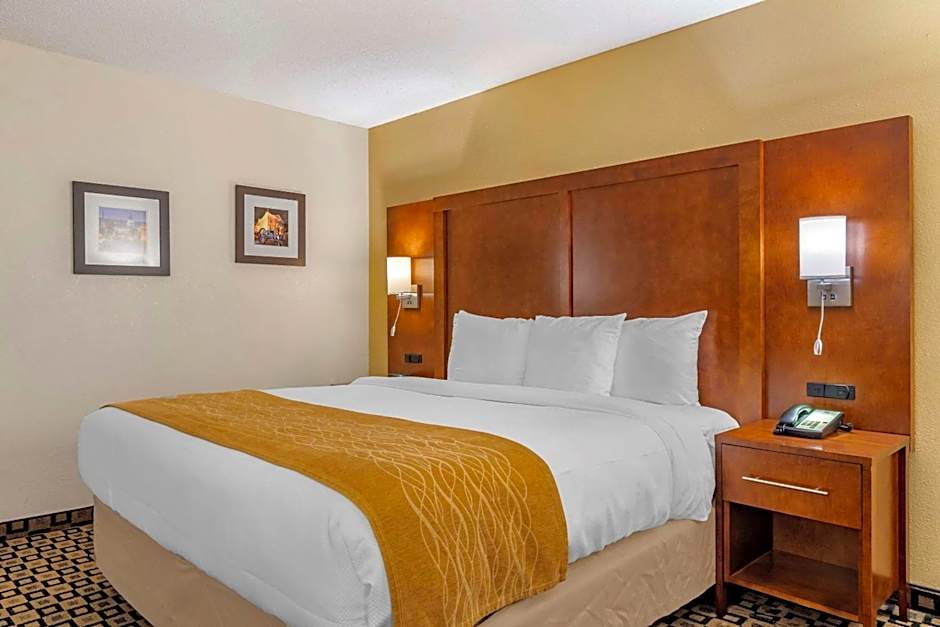 Comfort Inn & Suites Athens