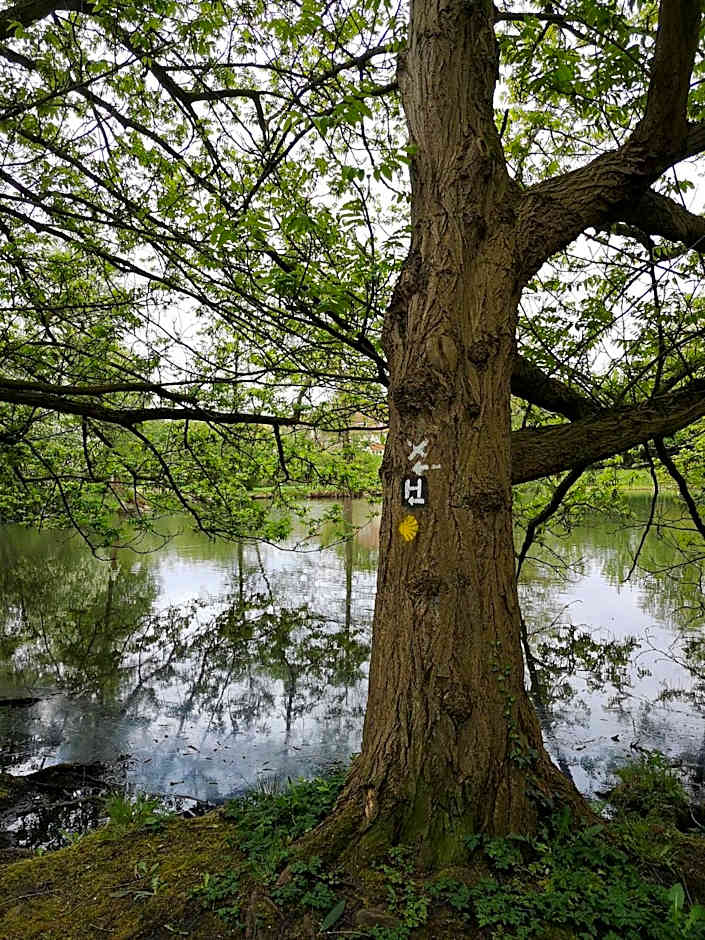 Hotel Dat greune Eck