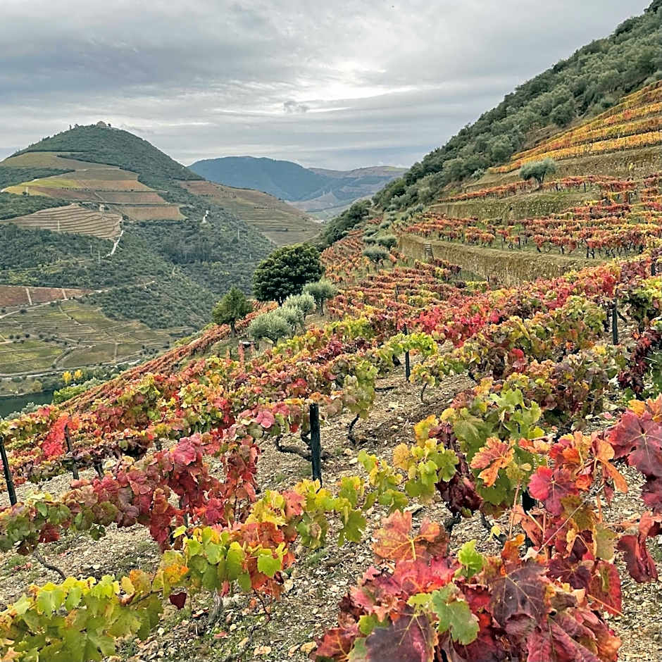 Hostel Douro Backpackers