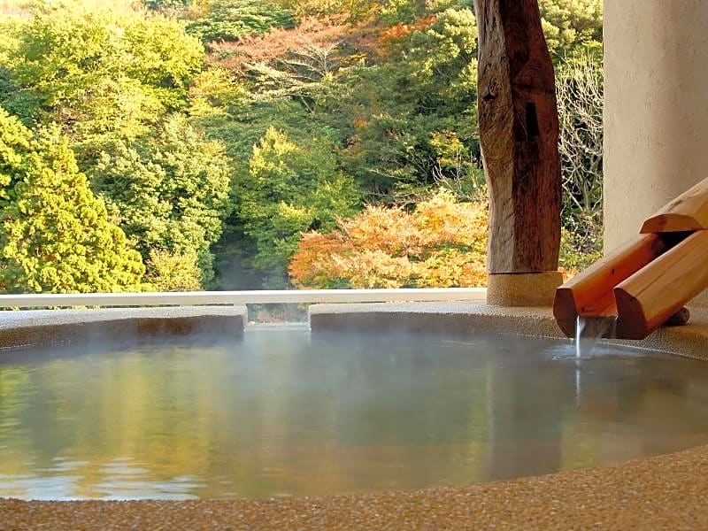 Hakone Suimeisou Hotel