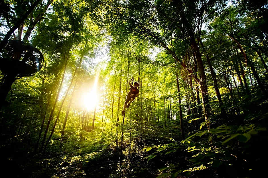 Holiday Inn Express & Suites Knoxville-Farragut by IHG