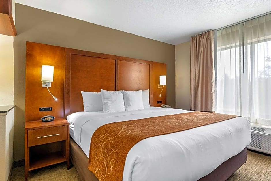 Comfort Suites Grand Rapids North