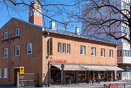 Hostel Buisto