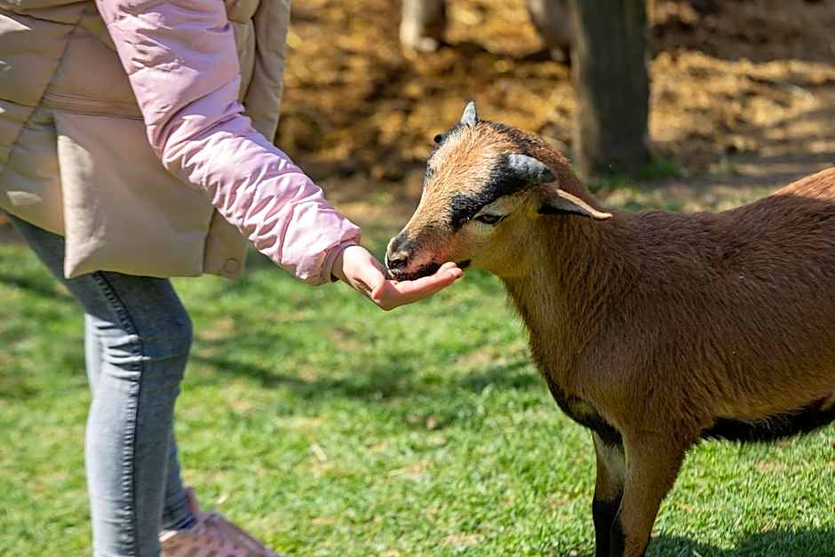 Puchner Kastélyszálló Prémium