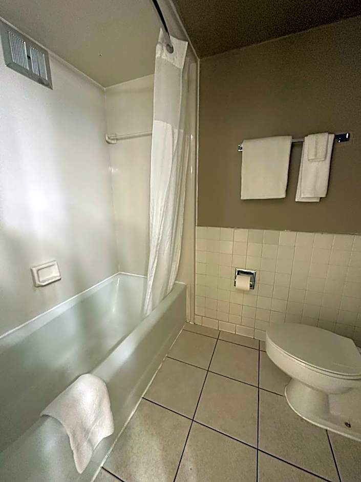 Tahitian Inn Boutique Hotel Tampa